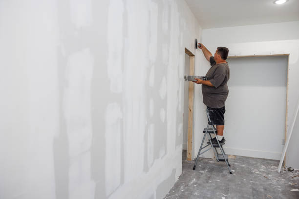 Best Mold Removal for HVAC Installations  in Westvale, NY