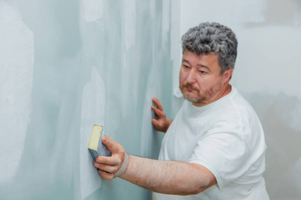 Best Mold Prevention Services  in Westvale, NY