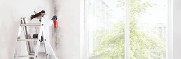 Best Mold Remediation for Healthcare Facilities  in Westvale, NY